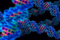 Tìm điểm nổi trội trong gene