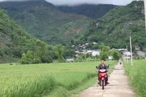 Thôm Mòn trong cơn “lốc trắng”