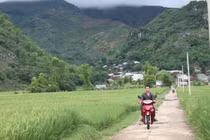 Thôm Mòn trong cơn “lốc trắng”