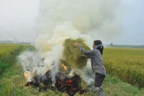 Hết đốt tiền tỉ ngoài đồng