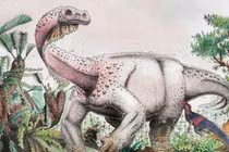 Nam Phi phát hiện hóa thạch khủng long sống cách đây 200 triệu năm