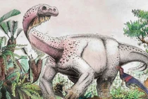 Nam Phi phát hiện hóa thạch khủng long sống cách đây 200 triệu năm