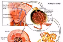  Cách nhận biết suy thận mạn
