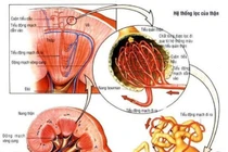  Cách nhận biết suy thận mạn