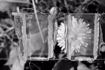 Cửa kính tạo ra điện