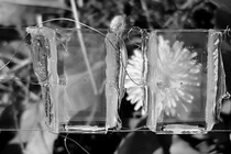 Cửa kính tạo ra điện