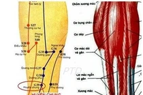 Bấm huyệt khu phong trừ thấp