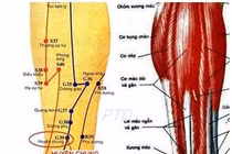 Bấm huyệt khu phong trừ thấp