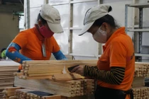 Lâm sản 3 tháng đầu năm xuất siêu trên 3,23 tỷ USD