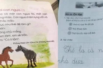 TPHCM: Giáo viên được chủ động thay thế ngữ liệu không phù hợp trong SGK