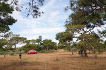 Chuyển đổi 174 ha đất rừng trồng làm sân golf ở Gia Lai: Rừng thông, đồi cỏ hồng vẫn được giữ gìn