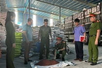 Lực lượng chức năng kiểm tra và thu giữ phân bón giả.