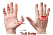 Day huyệt, uống trà trừ ho mùa lạnh