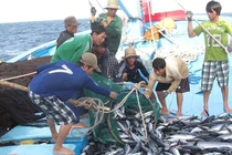 Việt Nam quyết tâm xóa thẻ vàng EC