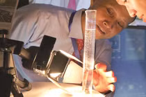 Giấc mơ đẹp về xăng từ... lá