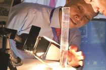 Giấc mơ đẹp về xăng từ... lá