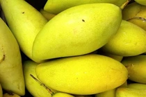  Ăn xoài làm giảm nếp nhăn trên mặt 