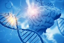 Những vùng gene góp phần vào sự phát triển nhận thức