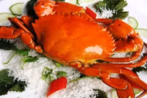 Ăn cua biển có làm suy giảm sinh lý?