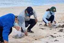 Thu gom dầu loang dọc 5km bờ biển tránh ô nhiễm môi trường