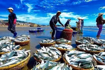 Hàng triệu cổ phiếu công ty thuỷ sản bị huỷ niêm yết bắt buộc trên HOSE