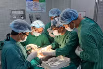 Một quả tim, một lá gan và 2 quả thận từ người cho chết não đã hồi sinh 4 cuộc đời