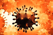 Nóng: Hai biến thể COVID-19 hợp nhất thành một virus lai đột biến nặng - Lo ngại về 1 giai đoạn mới của đại dịch