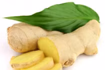 Gừng khô - Vị thuốc đa năng