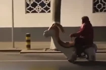 Lái xe đồ chơi, cụ bà bị xử phạt