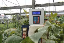 “Bộ điều khiển không dây” tăng năng suất cây trồng