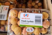 Vải thiều gắn tem truy xuất nguồn gốc lần đầu sang Pháp