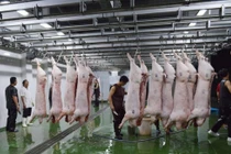 Giảm 10% phí an toàn vệ sinh thực phẩm