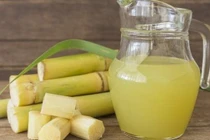 Cây mía chữa bệnh