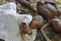 Có thể cải thiện văcxin sốt rét?