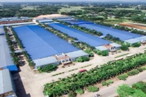 Công ty CP dịch vụ Long Biên là chủ đầu tư Cụm công nghiệp Thanh Đa