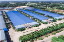 Công ty CP dịch vụ Long Biên là chủ đầu tư Cụm công nghiệp Thanh Đa