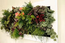 Tranh cây cho không gian xanh mát