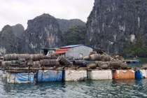 Tháo dỡ các cơ sở nuôi trồng hải sản trên các vịnh của quần đảo Cát Bà