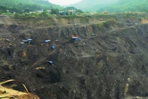 Quảng Ninh: Than thổ phỉ vẫn sống khỏe nhờ đâu?