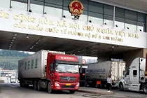 Việt Nam tăng nhập khẩu hàng hóa trong những ngày Tết Nguyên đán