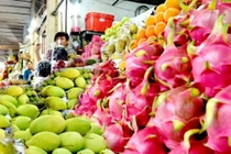 Bảo quản xoài, thanh long tươi ngon đến 40 ngày