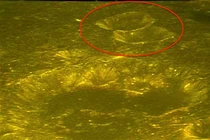 Lại phát hiện cấu trúc quái đản như căn cứ khổng lồ trên Mặt Trăng?