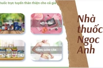 Giới thiệu về quá trình hình thành nhà thuốc Ngọc Anh.