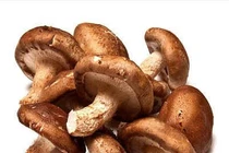 Nấm hương chữa đau lưng mạn tính