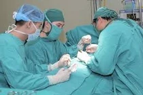  Lún dương vật khiến tiểu tiện khó 