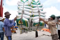 Kiến nghị dừng cơ chế điều hành xuất khẩu gạo từ ngày 1/5