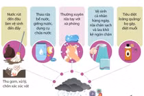 Hậu mưa lũ: Phòng chống dịch bệnh thế nào?