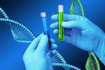  Hệ thống gene xác định huyết thống