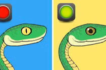 Bí kíp nhận diện rắn có độc hay không từ A - Z