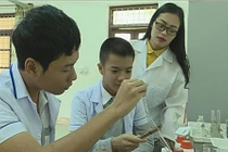 Thuốc diệt chuột từ hoa bông ổi